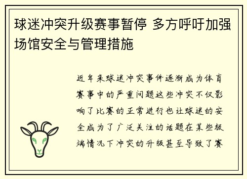 球迷冲突升级赛事暂停 多方呼吁加强场馆安全与管理措施