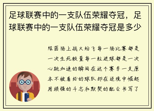 足球联赛中的一支队伍荣耀夺冠，足球联赛中的一支队伍荣耀夺冠是多少人